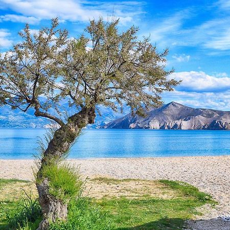 Villa Zlata - Holiday House バスカ エクステリア 写真